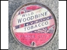 Wild Woodbine Flake Cut Tobacco Tin 2oz