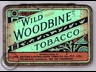 Wild woodbine Fine Cut Tobacco Tin 2oz